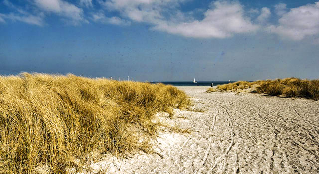 Amager-Beach1